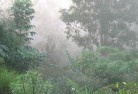 Little Douglaslandscaping-irrigation-4.jpg; ?>